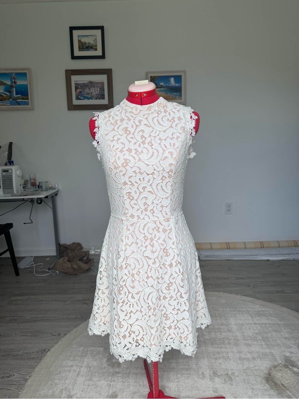 Francesca's Collections White Lace Sleeveless Fit & Flare Mini Dress